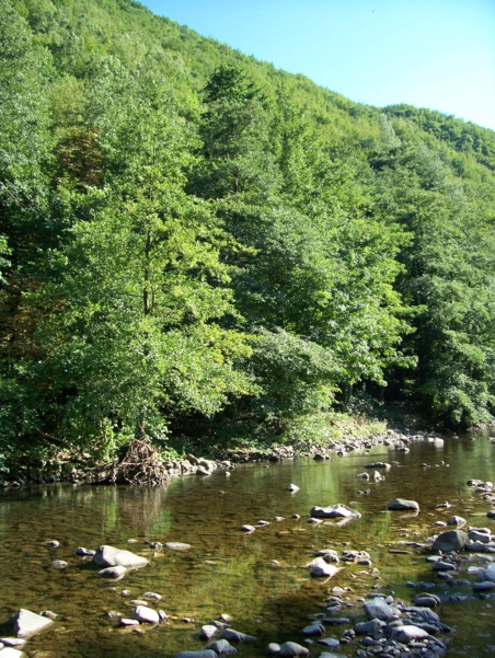  Image name: Fiume37.jpg 
 width: 452 pixel 
 height: 601 pixel 
 Size: 335930 bytes 
 Click to enlarge 